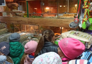 Dzieci w sklepie zoologicznym