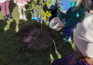 Dzieci sadzą drzewkona placu przedszkolnym