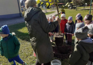 Dzieci sadzą drzewkona placu przedszkolnym