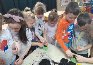 Dzieci zakładają zielony ogródek w sali