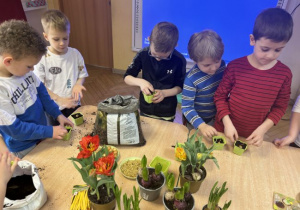 Dzieci sadzącebulki kwiatw i sieją nasiona