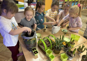 Dzieci sieją zioła i zakładają hodowlę w mini-szklarni