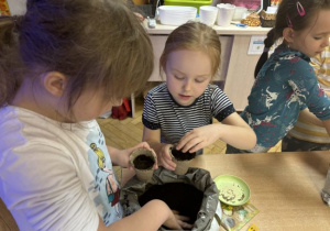 Dzieci sieją zioła i zakładają hodowlę w mini-szklarni