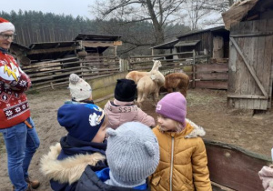 Dzieci oglądają zwierzęta w mini-zoo.