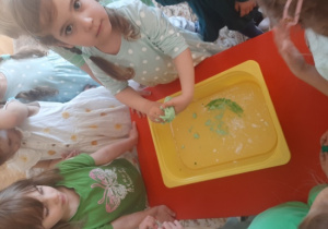 Zabawa sensoryczna, "Kajtusie" wykonują gniotka z mąki ziemniaczanej, mydła w płynie i barwnika w żelu.