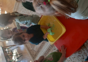 Zabawa sensoryczna, "Kajtusie" wykonują gniotka z mąki ziemniaczanej, mydła w płynie i barwnika w żelu.