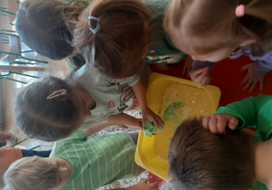 Zabawa sensoryczna, "Kajtusie" wykonują gniotka z mąki ziemniaczanej, mydła w płynie i barwnika w żelu.