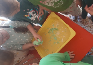 Zabawa sensoryczna, "Kajtusie" wykonują gniotka z mąki ziemniaczanej, mydła w płynie i barwnika w żelu.