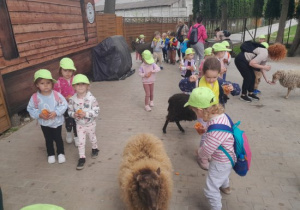 Dzieci karmią zwierzęta.