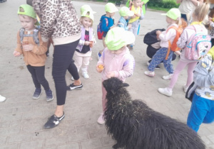 Dzieci karmią zwierzęta.