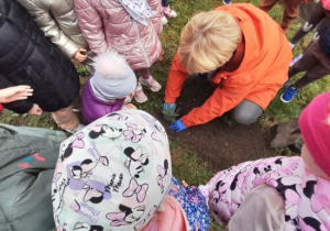 Dzieci sadzą sadzonkę świerka.