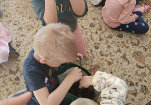 Dzieci oglądają skarby lasu.