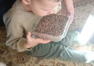 Dzieci poznają zapach lasu.