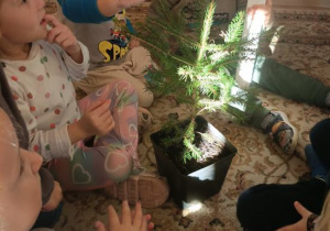 Dzieci poznają gatunki drzew rosnące w lesie.