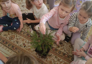 Dzieci poznają gatunki drzew rosnące w lesie.