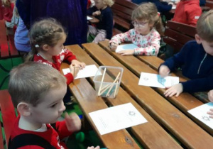 Dzieci korzystają z atrakcji na wycieczce do Kołacinka.