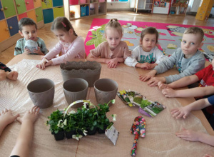 Zakładamy w naszej sali ogródek