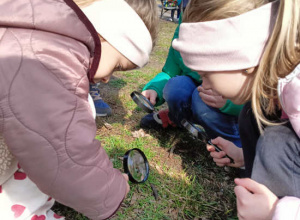 Poszukiwanie wiosny.