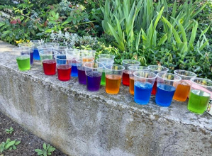 Piknik-przywitanie lata.