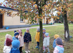 Dzień Drzewa.