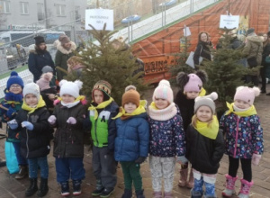 "Najpiękniejsza choinka"