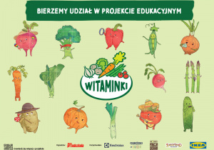 Zdjęcie 1 na 1